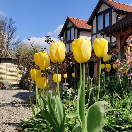 Delightful & Picturesque Modern Detached Apartment, Next To Chester Zoo, Near Park And Ride To City Centre エクステリア 写真