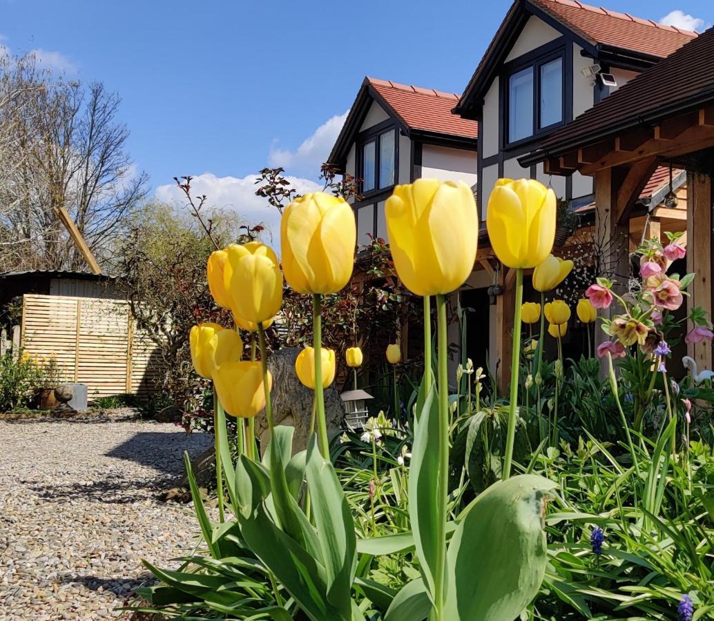 Delightful & Picturesque Modern Detached Apartment, Next To Chester Zoo, Near Park And Ride To City Centre エクステリア 写真